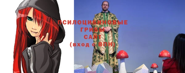 соль ск Сосновоборск