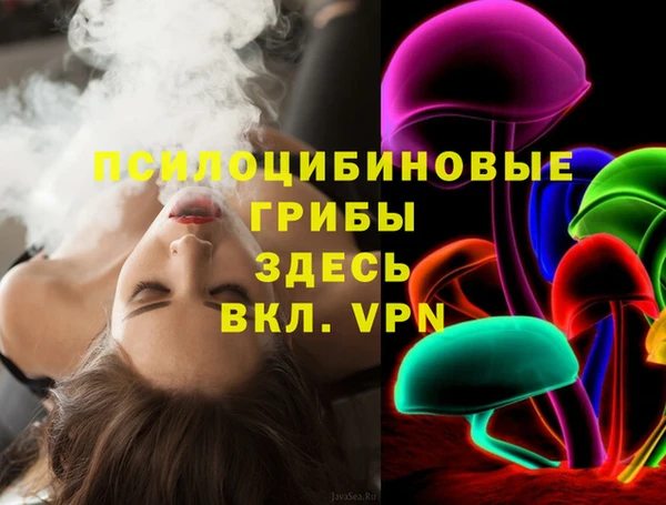 молекула духа Семилуки