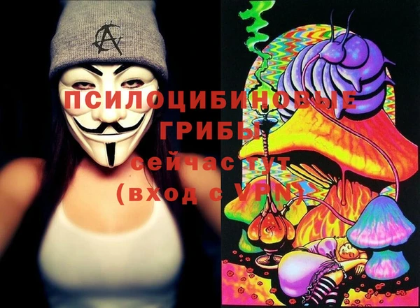 дживик Волоколамск