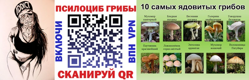 цена   MEGA как зайти  Псилоцибиновые грибы MAGIC MUSHROOMS  Рузаевка 